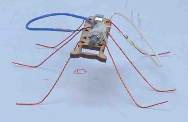 BRISTLEBOT