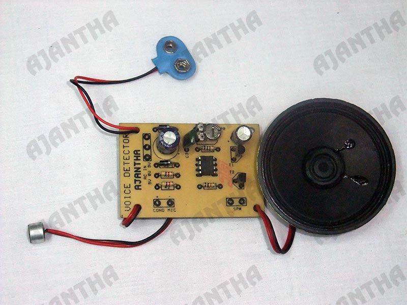 Voice Detector