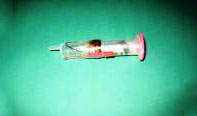 Shake Torch