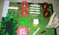 Bio Gas Plant
